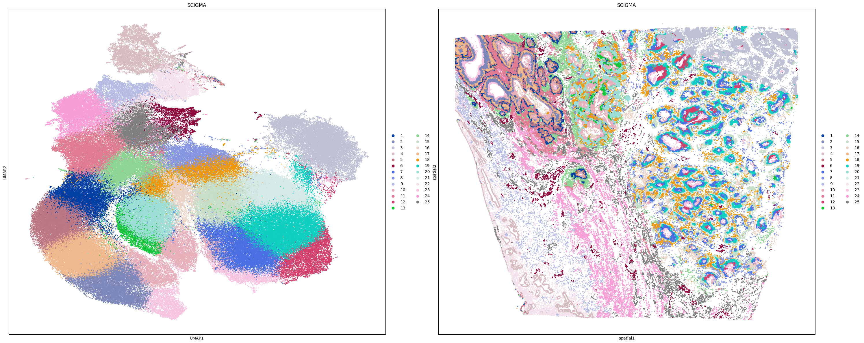 _images/SCIGMA-10x-Xenium-Prime-Ovary_29_1.png