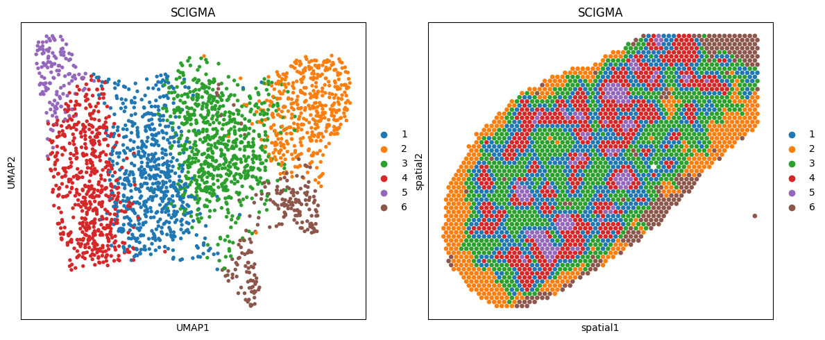_images/SCIGMA-Spots_14_1.png